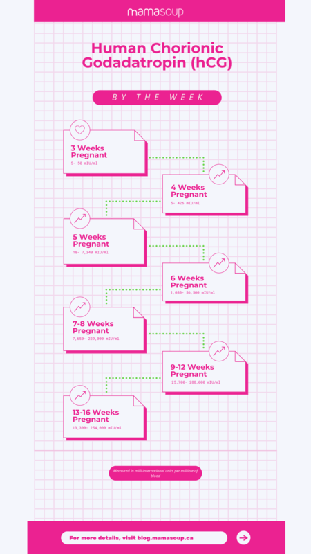 a visual display of how human chorionic gonadatropin (hGC) goes from 5 mIU/ml to 254,000 mIU/ml from 3 weeks to 16 weeks pregnancy